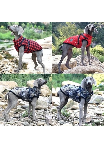 V-Pet-B-R Su Geçirmez Sıcak Köpek Montu Kıyafeti