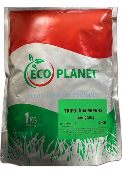 Yonca Ak Üçgül Trifolium Repens Tohumu 1 KG İthal