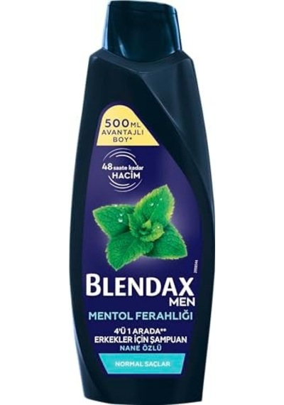 Erkekler İçin Mentol Ferahlığı Nane Özlü Şampuan, 500 Ml