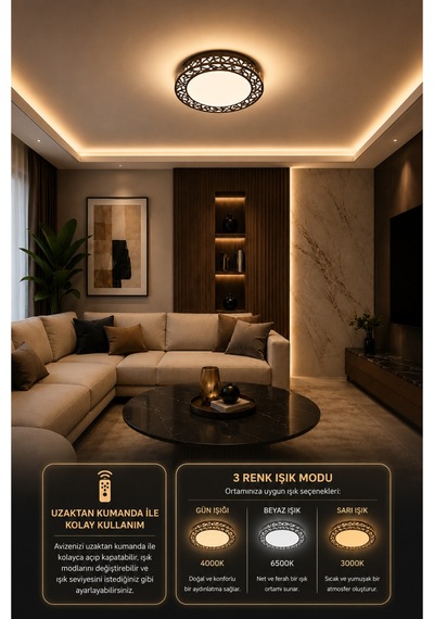 Truva Modern Siyah 35'lık Akrilik Uzaktan Kumandalı Dimmerli 3 Renk Ledli Plafonyer Ledli Avize Çap 35 Cm Truva Truva
