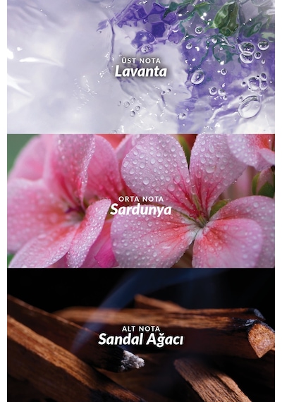 Avon Wild Country + Musk Metropolitano Erkek Parfüm Seti
