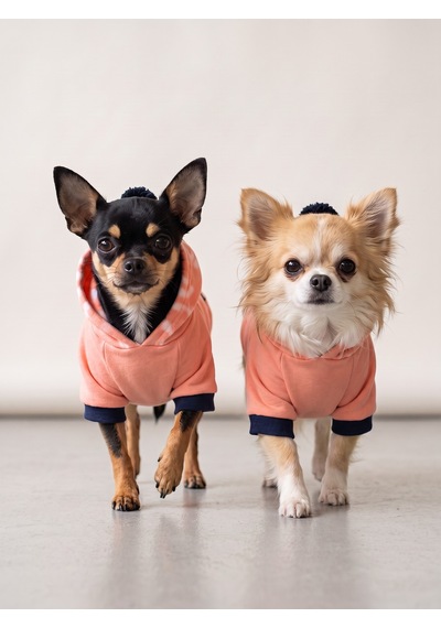 Peachy Pink Köpekler İçin Polar Sweatshirt
