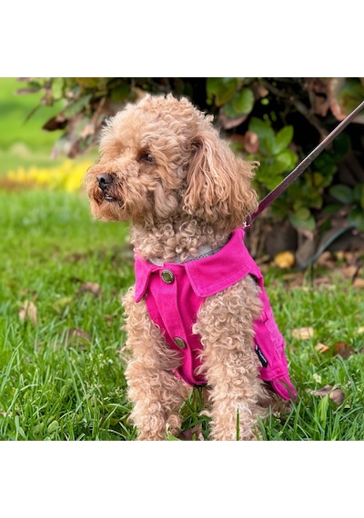 Yeni - Fuşya Renk Kot Köpek Yeleği - Küçük Irklar İçin Şık Ve Rah