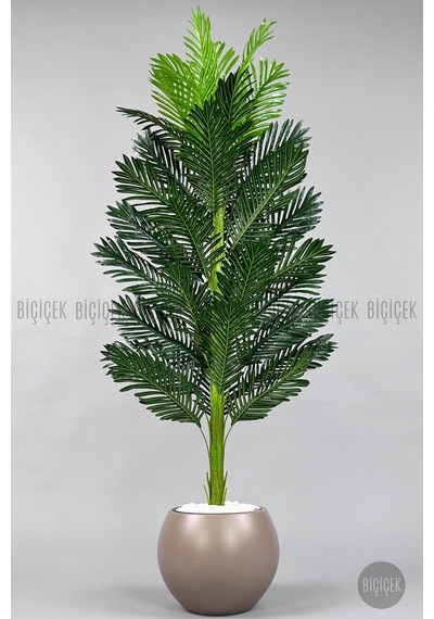 Yapay Areka Ağacı 160-180 Cm F