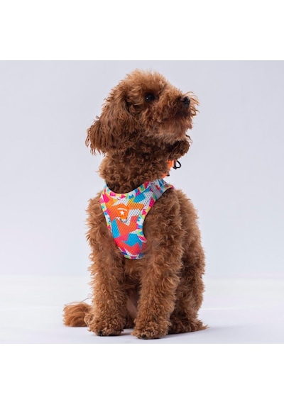 Pawstar Air-mesh Mosaic Köpek Göğüs Tasması Çok Renkli