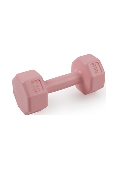 Psspor 2 Adet 2kg Pembe Renk Dambıl Seti 2 Adet 2kg Gönderim Yapılmaktadır