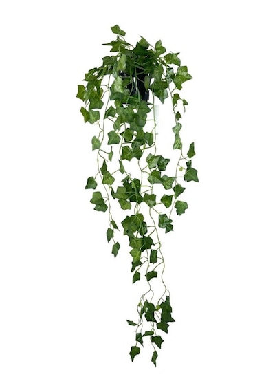 Yapay Çiçek Saksıda Sarkan Sarmaşık 9dal Hedera 80cm Yapay Sarmaşık Yeşil