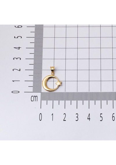 Ay Yıldızlı 14 Ayar Taşsız Altın Kolye KUEGS14K20693
