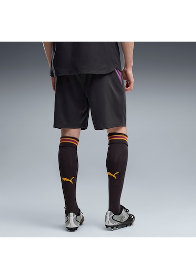 Puma Galatasaray 26/27 Erkek Futbol Şortu 785023 05 Gri