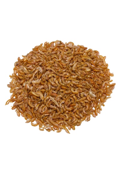 Purecanpati Kurutulmuş Gammarus Kaplumbağa Yemi 25 Gr