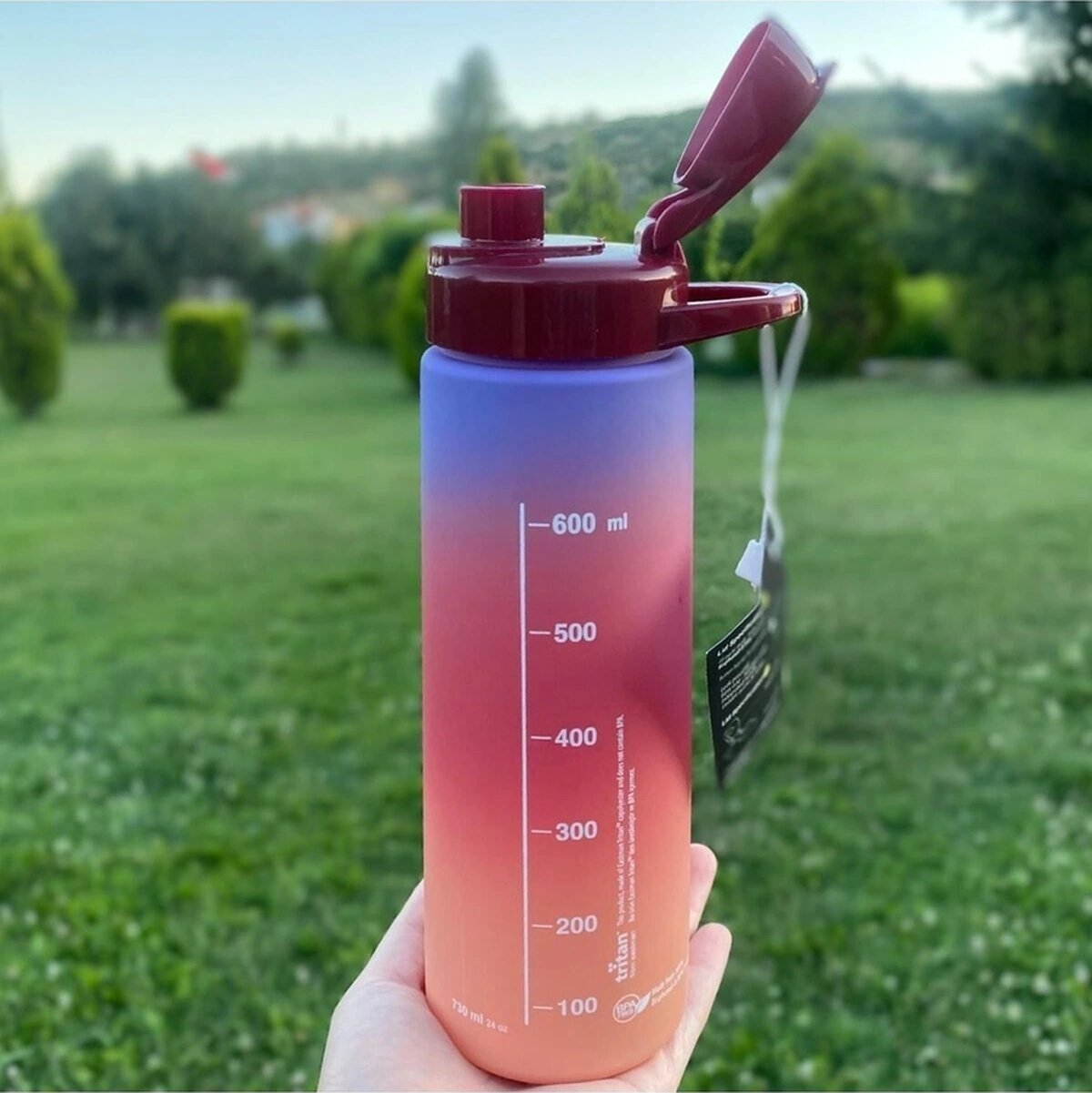 0,75 L Life Is Good Tritan Matara 730 Ml-630 Cc Kırmzı-mor Kırmızı Plastik Kırmızı-Mor