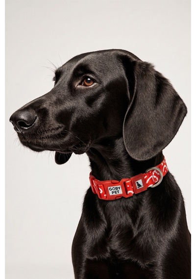 Köpekler İçin Dayanıklı Ve Güvenli, Desenli Boyun Tasması 25mm Kırmızı