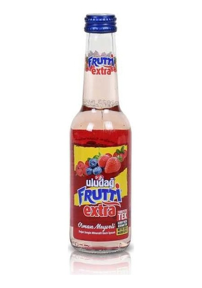 Frutti Extra Orman Meyve 250ml