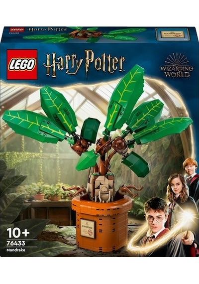 LEGO® Harry Potter 76433 Adamotu 579 Parça