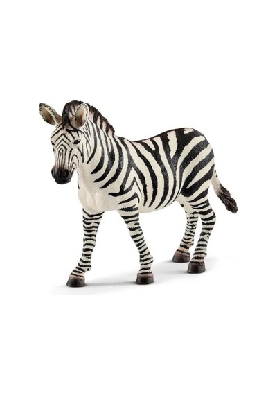 Mey İthalat Dişi Zebra
