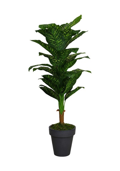 Yapay Ağaç Difenbahya Yeşil 160 Cm
