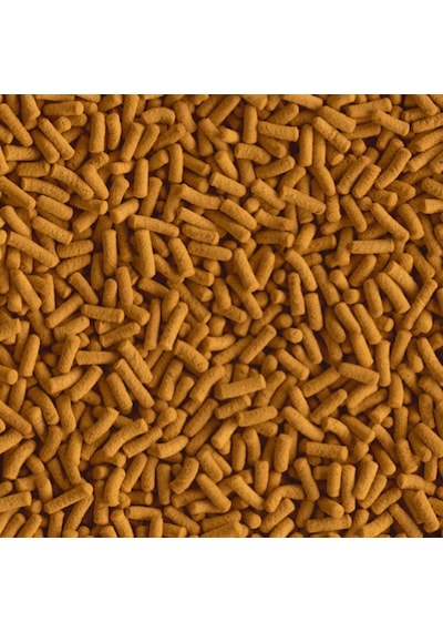 Tetra Cichlid Sticks Balık Yemi 1 KG
