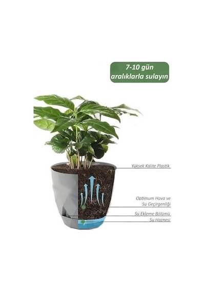 Omnipazar Krs-450 Yakamoz Tabaklı Plastik Saksı Takımı 0.3 Litre No 0 Antrasit 116