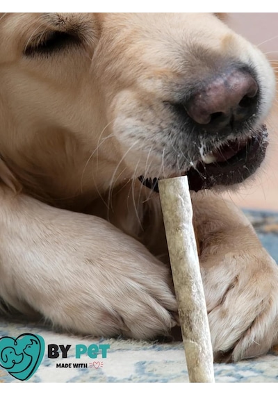 Doğal İşkembeli Köpek Ödül Maması, Köpek Munchy Çubuk 40 Adet