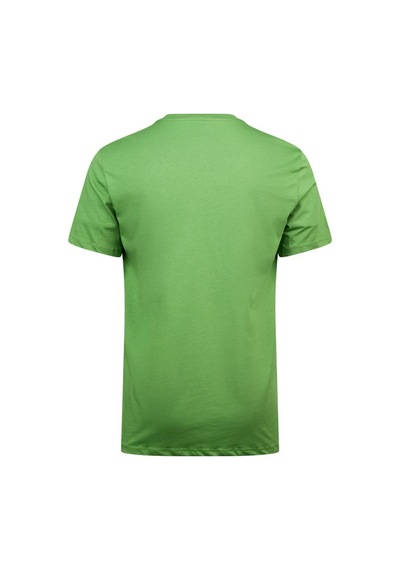 2as Alex Baskılı Erkek Sıfır Yaka T-shirt 035 Yeşil