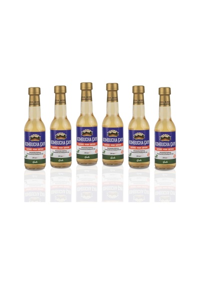 6 Adet Sade Kombucha 250ml. Cam Şişede