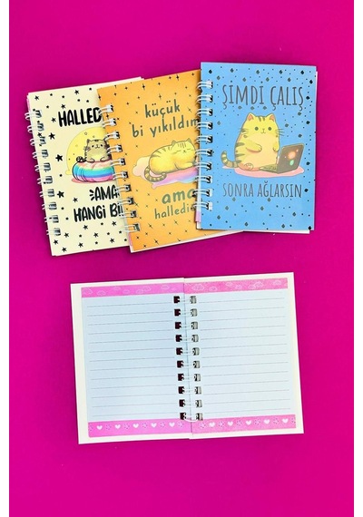 Mini 4'lü Kedili Spiralli Defter Çok Renkli
