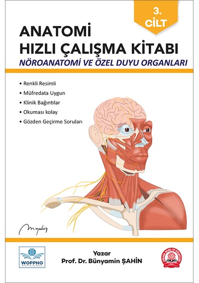 Anatomi Hızlı Çalışma Kitabı Nöroanatomi Ve Özel Duyu Organları C