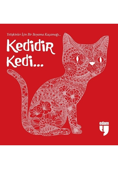 Kedidir Kedi- Edam