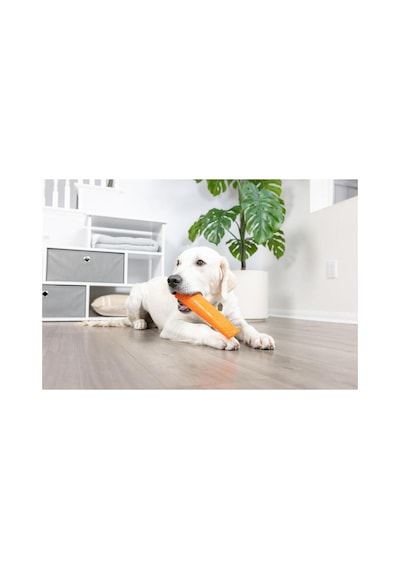 Super Crunch Stick Köpek Oyuncağı Küçük Boy