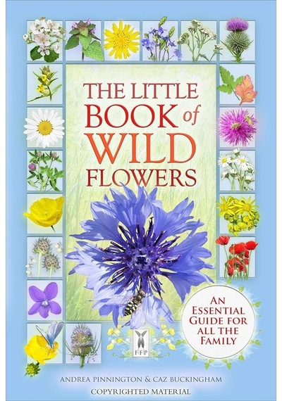 The Little Book Of Wild Flowers A New World To Discover Ciltli Fine Feather Press