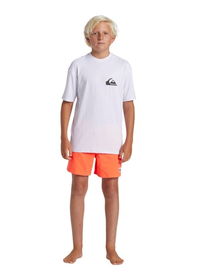 Quiksilver Quıksılver Everyday Surf Tee Ss Youth Wbk0 Beyaz
