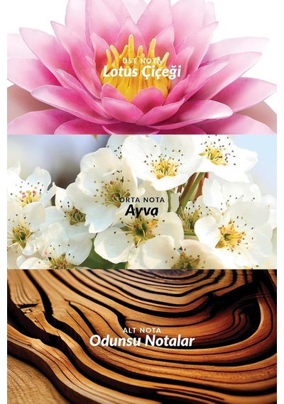 Incandessence Lotus Kadın Parfüm Edp 50 Ml. Diğer