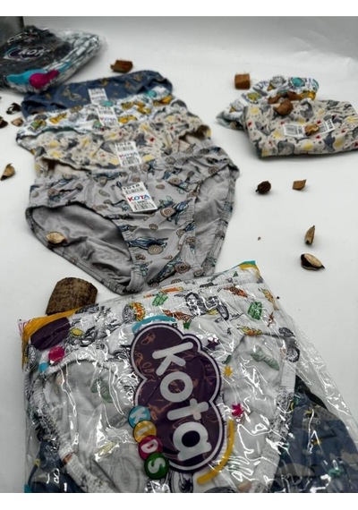 Kota 1018 Erkek Çocuk Renkli Desenli Slip Külot 6 Adet 001