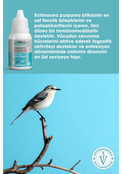 Mixtura Pharma Bird Echınacea