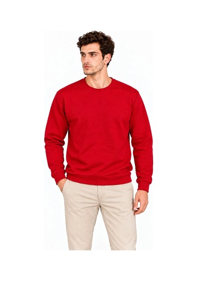 Erkek 2'li Bisiklet Yaka İçi Şardonlu 2 İplik Düz Uzun Kollu Regular Fit Sweatshirt - Mavi & Kırmızı Çok Renkli