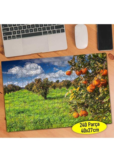 Meyve Bahçesi Portakal Ağacı 240 Parça Puzzle Yapboz-79756611