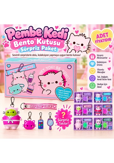 Northcity Pembe Kedi Bento Kutusu Sürpriz Paket Adet Fiyatıdır Bx Standart