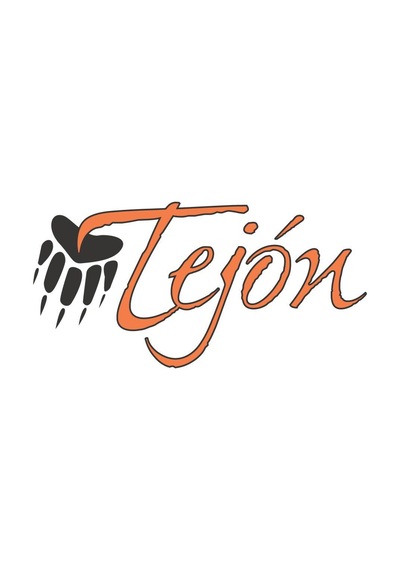 Tesoro Tejon -17.5Khz Vlf Derin Dedektör-12X10Inch Dd Başlıklı