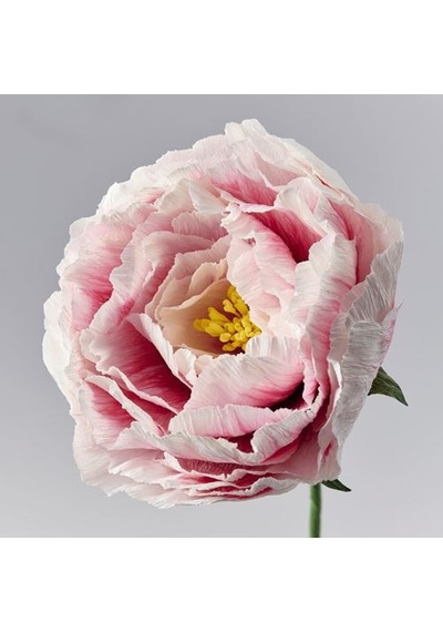 Ikea Guldspett Yapay Çiçek, Beyaz-açık Pembe, 50 Cm, Şakayık