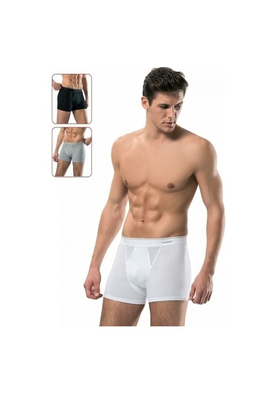 Erdem Erkek Boxer Pamuk Elastan Kaşkorse 1428