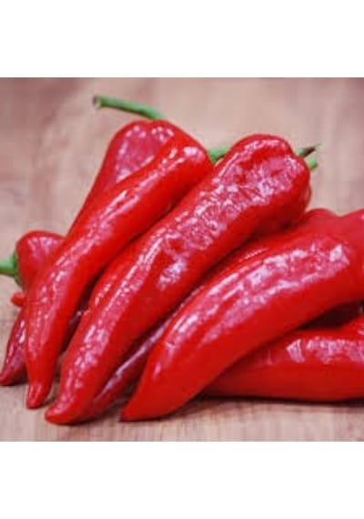 100 Adet Tohum Acı Salçalık Kırmızı Salçalık Biber Tohumu Saksı T