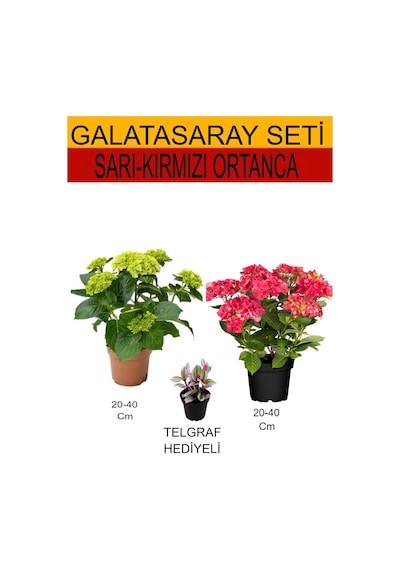2'li Takım Seti Sarı-kırmızı Ortanca+hediyelik Telgraf Çiçeği