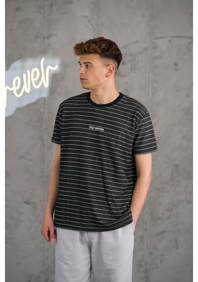 Reguler Fit Bisiklet Yaka Likralı Çizgili Erkek Yazlık T-shirt 001