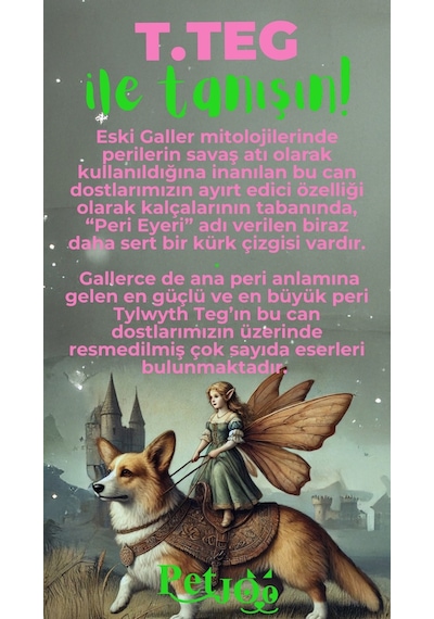 Petjoo 15.T.Teg Yeşil-Pembe Qr'lı Köpek Künyesi