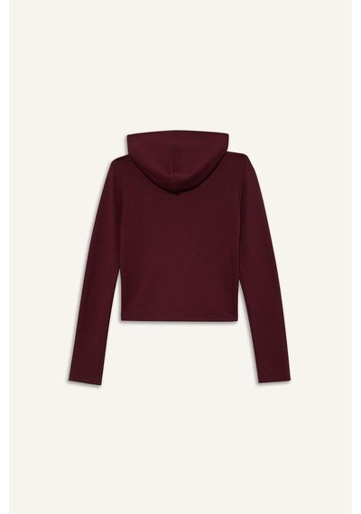 Defacto Slim Fit Dar Kesim Kapüşonlu Modal Fermuarlı Sweatshirt F7651ax25aubr115 Bordo-br115