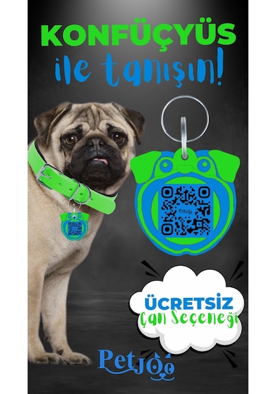 Petjoo 9.Konfüçyüs Mavi-Yeşil Qr'lı Köpek Künyesi