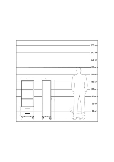 Arges Dolap 3 Raflı 2 Çekmeceli 44x30x134 Çam-antrasit Atlas Çam