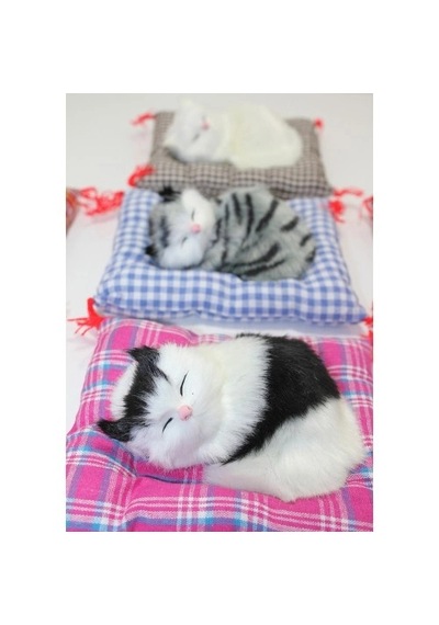 Hubrendy Emin Yastıkta Uyuyan Kedi Sesli