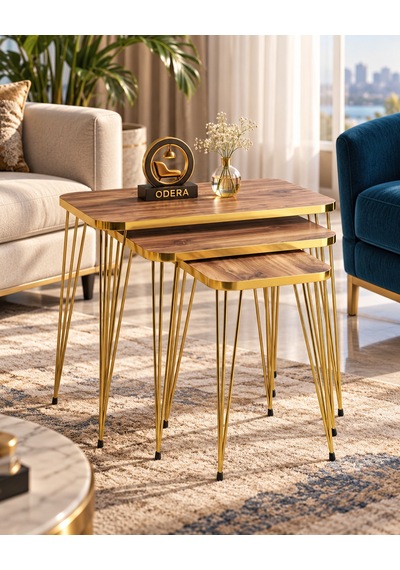 Odera Gold Ceviz Zigon Sehpa 3'lü Set Metal Tel Ayaklı Modern Retro Salon Sehpası Diğer