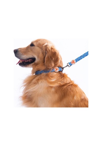 Pawstar Charm Boyun Tasması M Boyun Çevresi: 32 Cm X 48 Cm Çok Renkli